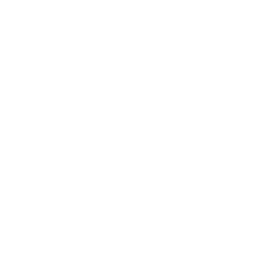 GEM-ICO-logo-white