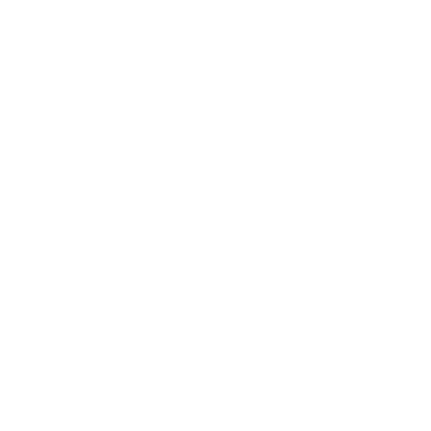 saola-shoes-logo-white